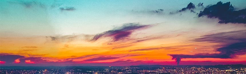 定安茶虫网_定安品茶